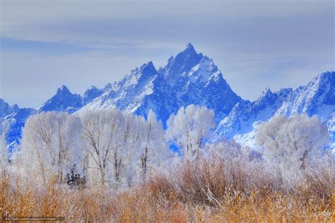 Download Wallpaper The Layers Of Winter Grand Teton National Park