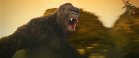 Kong Skull Island Groove Trailer Trailers And Videos Rotten Tomatoes