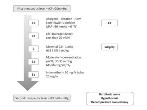 Diagnosis And Treatment Of Intracerebral Hemorrhage Neupsy Key