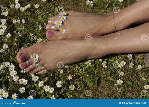 Female Feet Relaxing On Grass Lawn With Flowers Stock Photo Image Of