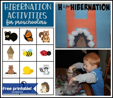 hibernation activities for preschoolers teaching mama