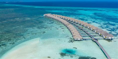 Resort Lux South Ari Atoll Resort And Villas In Maldive Premium