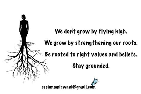 Be Rooted Stay Grounded Beliefs Roots Mindfulness