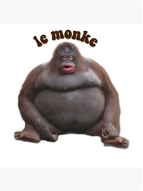 Le Monke Poster By Trendybubble Redbubble