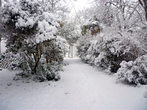 Snowy Driveway Free Stock Photo Public Domain Pictures