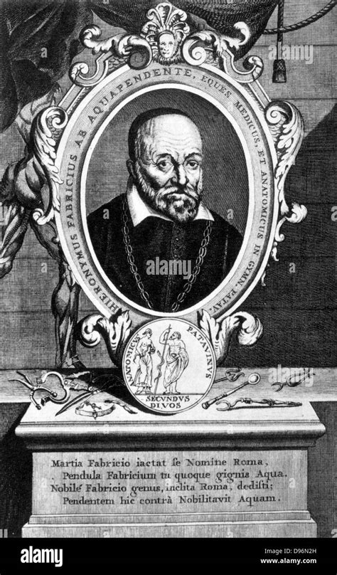 Fabricius ab Aquapendente (Hieronymus Fabricius) 1537-1619. Italian ...