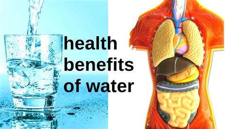 Health Benefits Of Water Zaineeys Blog