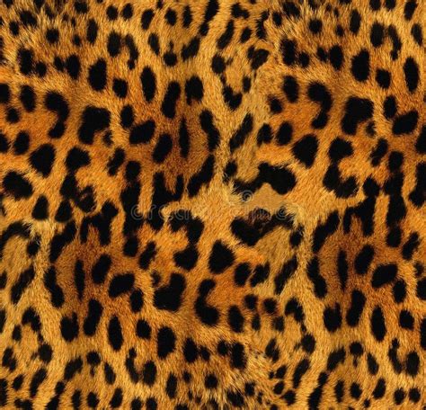 Leopard Texture Fine Texture Of Leopard Fur Ad Texture Leopard Fine Fur Leopard