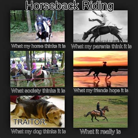 Horse Riding Quotes Horse Quotes Funny Funny Horse Memes