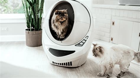 Whisker Litter Robot 3 Wifi Enabled Automatic Self Cleaning Cat Litter