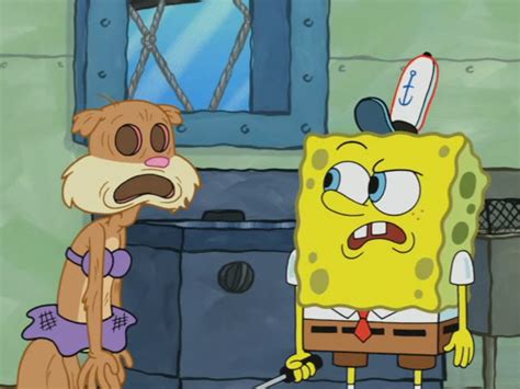 Sandy's fur is slightly darker in season 1 than in the later seasons. SpongeBuddy Mania - SpongeBob Episode - Someone's in the ...