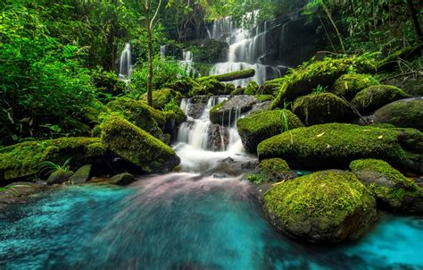 Wallpaper Forest River Waterfall Forest River Jungle Beautiful Waterfall Tropical Images