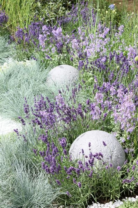 Small Lavender Garden Ideas Magzhouse