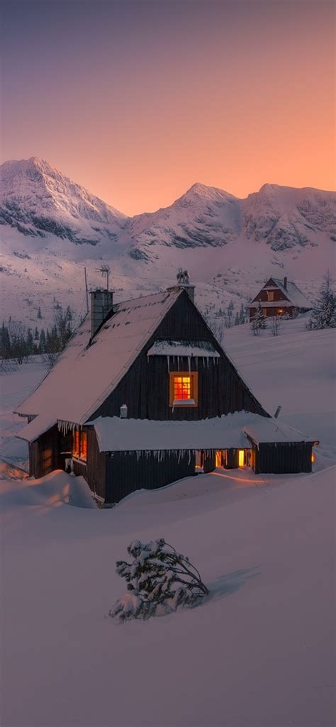 1242x2688 Evening In Winter Snowy House Iphone Xs Max Wallpaper Hd