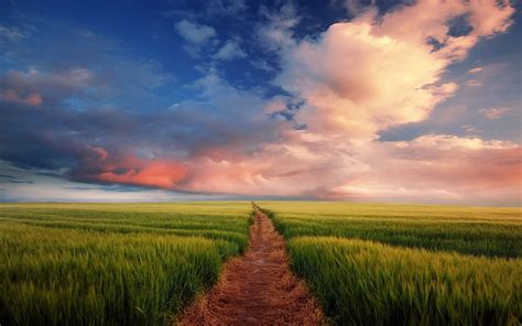 Dream Spring 2012 Path To Nowhere Wallpapers Hd Wallpapers 96954