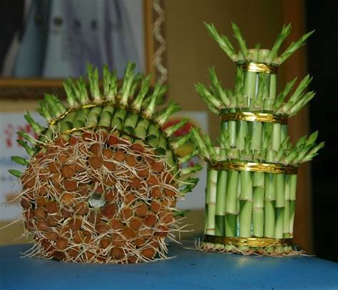 Lucky bamboo isn't a bamboo at all. Personal...: Rooting Lucky Bamboo