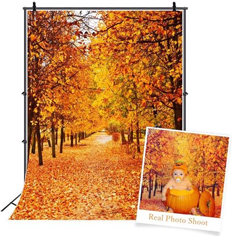 Laeacco Autumn Scenery 5x7ft Thin Vinyl Photography