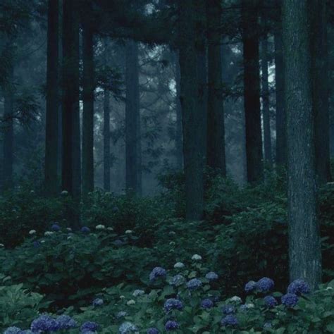 Pin By Wallflower On Midnight Forest Fantasy Landscape Nature