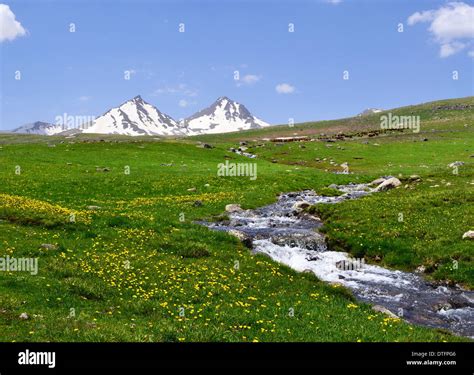 Mountain Landscape With River Stock Photo Alamy