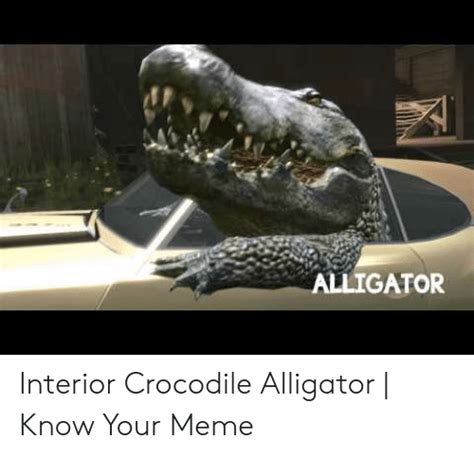 Alligator Interior Crocodile Alligator Know Your Meme Meme On Meme