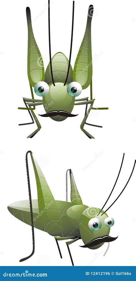 Grasshopper Stock Vector Illustration Of Grasshopper