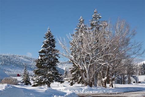 Winter Scene In Spencer Idaho Photograph By Tatiana Travelways Fine