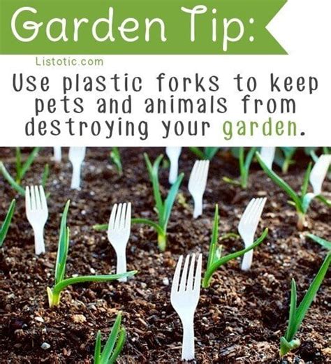 21 Truly Genius Gardening Tips And Ideas Spaceships And