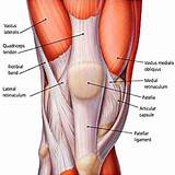 Exercise Muscle Knee Pictures