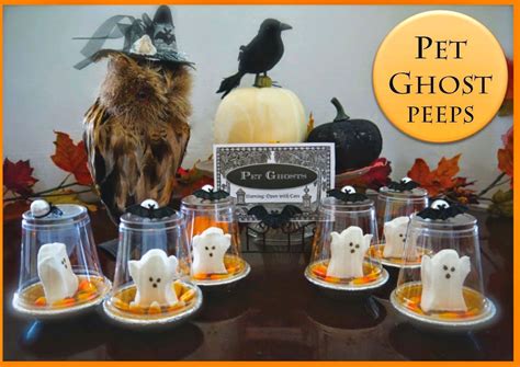 Pet Ghost Peeps Pictures Photos And Images For Facebook