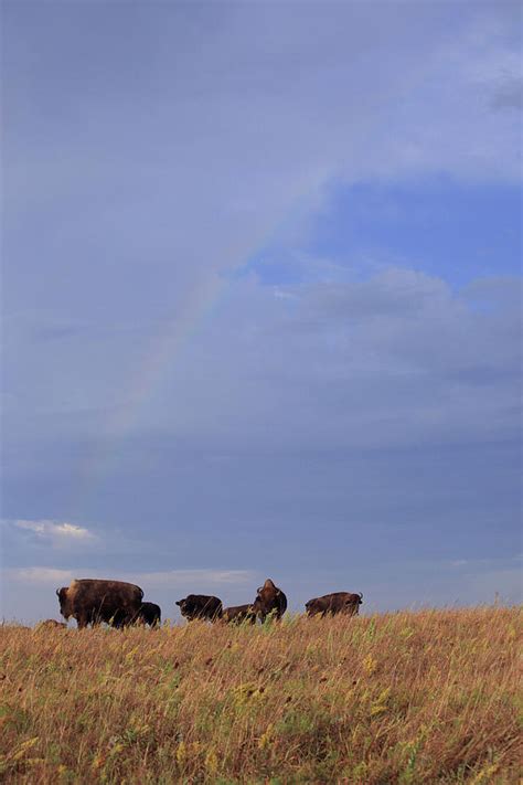 Rainbow Kansas Sky Photograph By Carol Schultz
