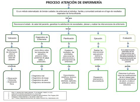 Proceso Atención De Enfermería Educación Y Salud