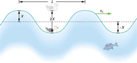 What Does The Velocity Of A Wave Describe Apex