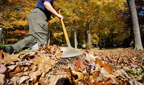 Essential Pre Winter Chores Most Gardeners Simply Forget Garden