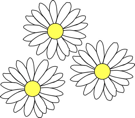 Common Daisy Clip Art Daisies Png Download 600529 Free