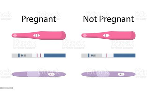 Set Of Different Pregnancy Tests With One And Two Stripes Positive Negative Female Reproductive