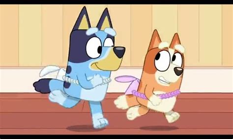 Bluey And Bingo Happy Cartoon Anime Images Disney Characters