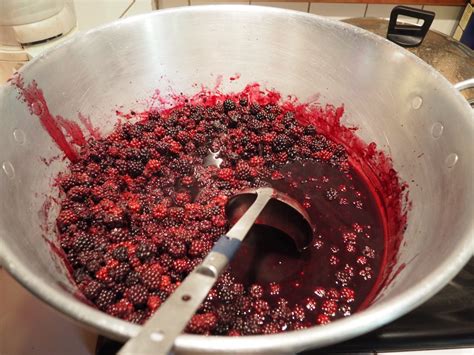 Ma confiture -gelée de mûres sauvages