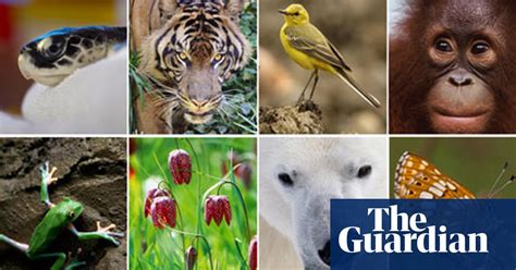 Putting A Price On Biodiversity What Are Species Worth