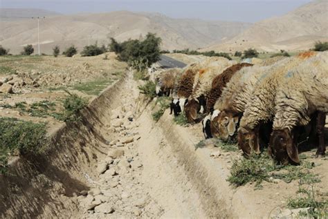 الجفاف في فلسطين وسائر بلاد الشام يعتبر الأشد منذ نحو تسعة قرون وملايين