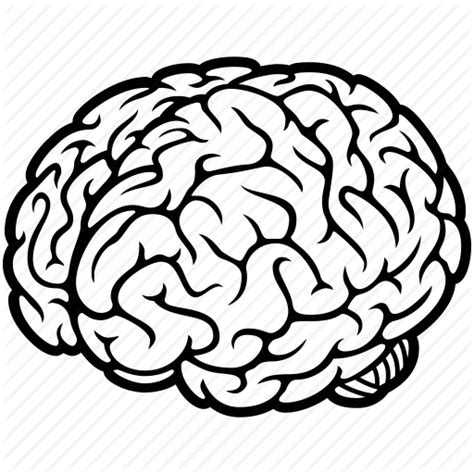Brain Icon Free Icons Library