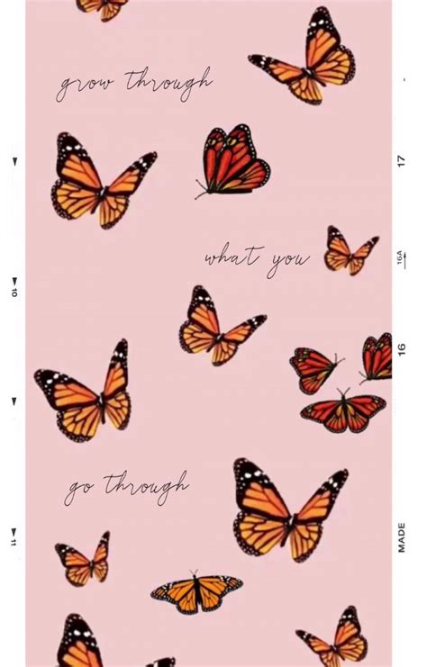 Asthetic Butterfly Pinterest Wallpaper Download Free Mock Up
