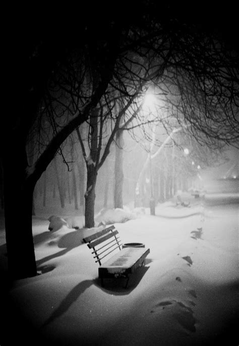 Pin By Dawn Aiello On Winter Night In Black And White Winter Scenery