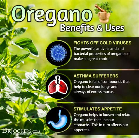 90 ($0.22/count) $24.61 with subscribe & save discount. 12 Ways to Use Oregano to Improve Your Immune System