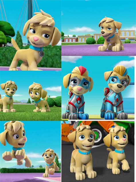 Paw Patrol Mighty Pups Twins Names Pets Lovers