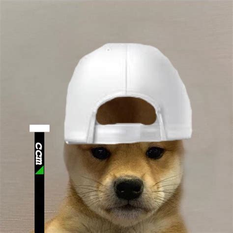 Hockey Doggo Dogwifhatgang