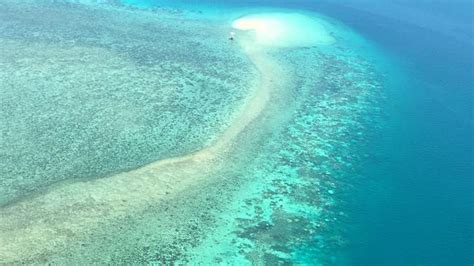 Great Barrier Reef Bleaching A ‘slow Motion Train Wreck The Courier Mail