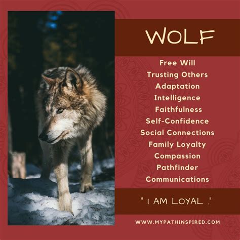 Wolf Spirit Animal Animal Spirit Guides Spirit Animal Spirit Animal Art