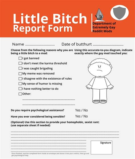 here s a handy dandy report form for your modmail r dankmemes know your meme