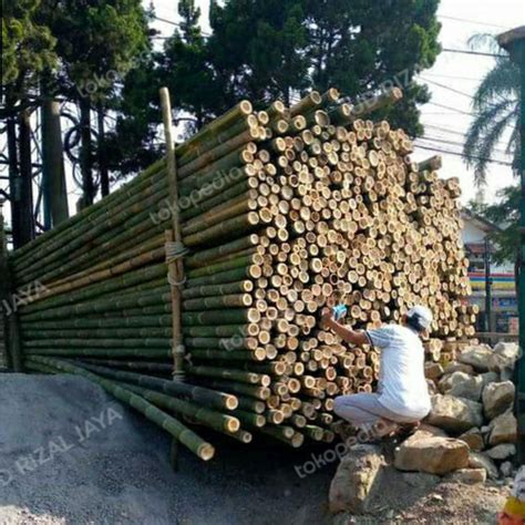 Jual Bambu Steger Bambu Proyek Bambu Bangunan Bambu Bekisting