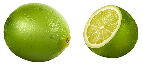 Lime Png Image Purepng Free Transparent Cc0 Png Image Library